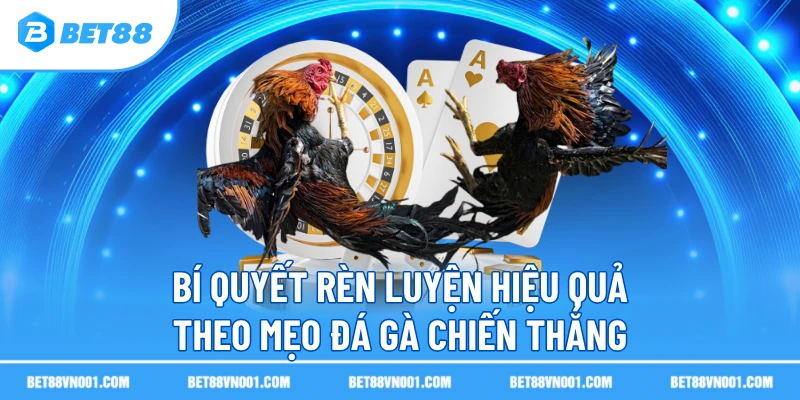 Mẹo Đá Gà Chiến Thắng BET88- Bật Mí Chiến Thắng Nhanh Nhất 2 Mẹo Đá Gà Chiến Thắng BET88- Bật Mí Chiến Thắng Nhanh Nhất Bí quyết rèn luyện hiệu quả theo mẹo đá gà chiến thắng
