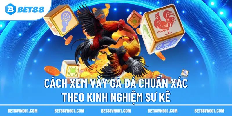 Cách Xem Vảy Gà Đá Chuẩn Xác Theo Kinh Nghiệm Sư Kê Trên BET88 1 Cách Xem Vảy Gà Đá Chuẩn Xác Theo Kinh Nghiệm Sư Kê Trên BET88 cach xem vay ga da chuan xac theo kinh nghiem su ke Cách Xem Vảy Gà Đá Chuẩn Xác Theo Kinh Nghiệm Sư Kê Trên BET88