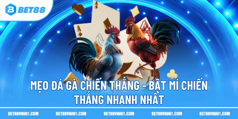 Mẹo Đá Gà Chiến Thắng BET88- Bật Mí Chiến Thắng Nhanh Nhất 1 Mẹo Đá Gà Chiến Thắng BET88- Bật Mí Chiến Thắng Nhanh Nhất Phân tích phương pháp qua chiến thuật đá gà